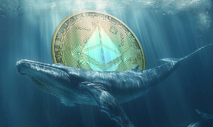 
			Еще один кит приобрел Ethereum на&nbsp;$1,3&nbsp;млрд в&nbsp;преддверии публикации данных об&nbsp;инфляции в&nbsp;США		
