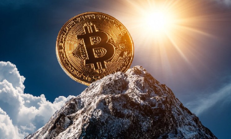 
			В августе хешрейт сети Биткоин вернулся к рекордному уровню: JPMorgan		