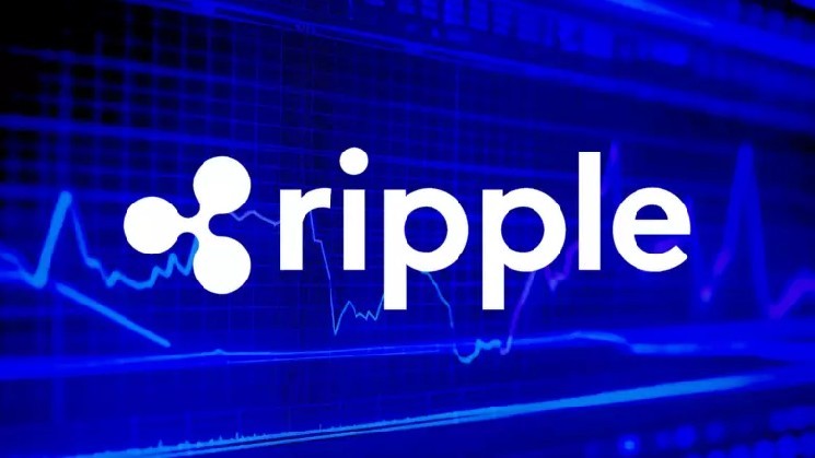 
			В планах Ripple развитие институционального DeFi на XRP Ledger		