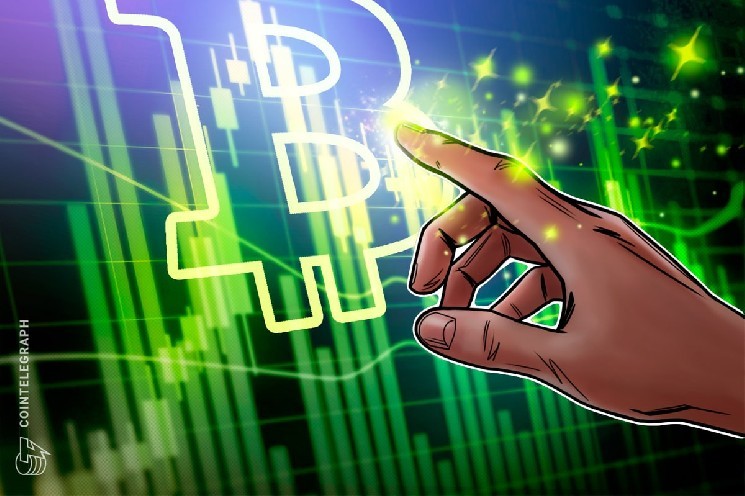 Bitwise: в третьем квартале появилось 48 новых биткоин-казначейств