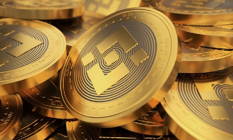 
			Генеральный директор CEA назвал BNB самой недооцененной &laquo;голубой фишкой&raquo;		