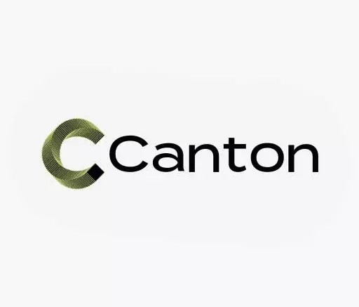 
			Что такое Canton Network &mdash; простое объяснение		
