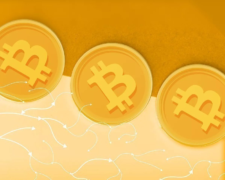 
			В CoinShares опровергли тезис о нехватке ликвидности биткоина		